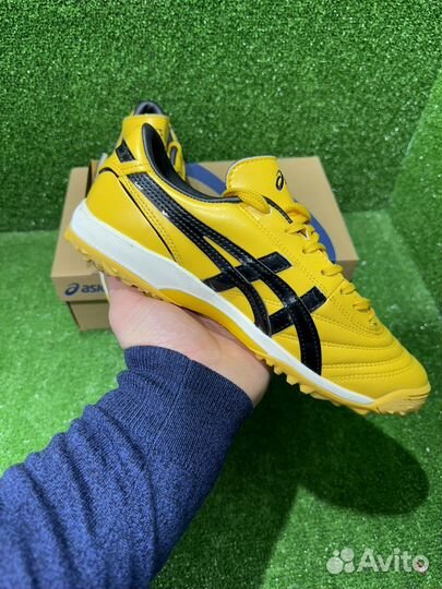 Сороконожки asics