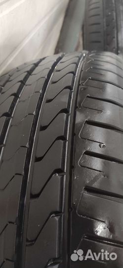 Cooper Evolution Winter 225/55 R19