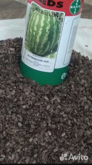 Семена арбуза Каристан, Барака, Продюсер, Атаман