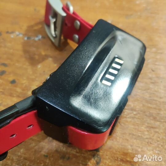 Ошейник Garmin T5 бу