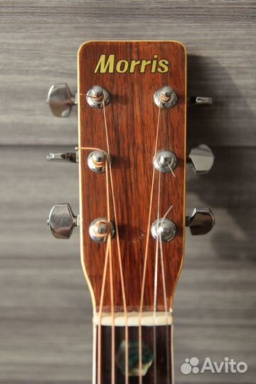 Акустическая гитара morris w-40