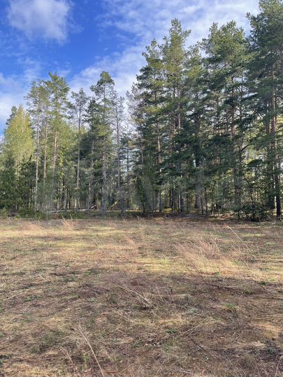 Участок 6 сот. (ИЖС)