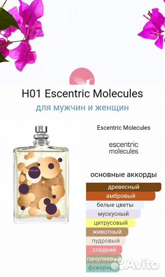 Escentric Molecules H 01 100 ml