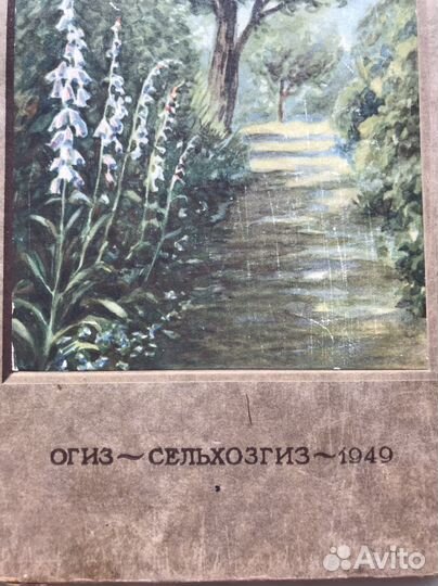 Книга-Цветоводство. 1949г