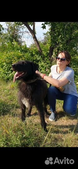 Крутой парень добрый ищет семью