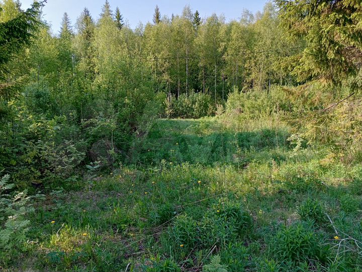 Участок 8 сот. (СНТ, ДНП)