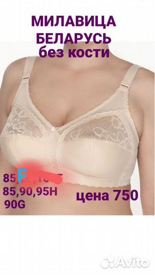 Бюстгальтер