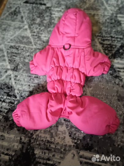 Одежда для собак