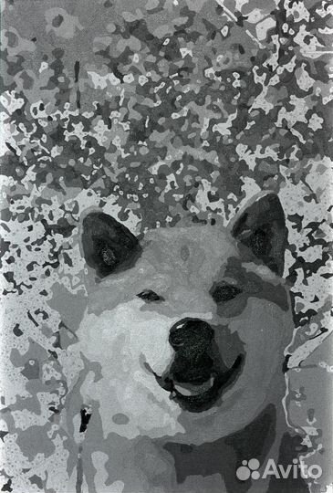 Фотоплёнка Orwo UN54