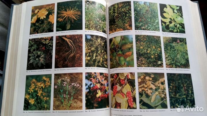 Медицинская энциклопедия СССР