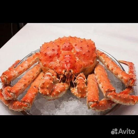 Краб камчатский (стригун, волосатик)