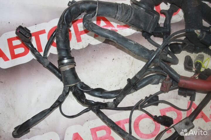 Проводка двигателя Audi A8 D3