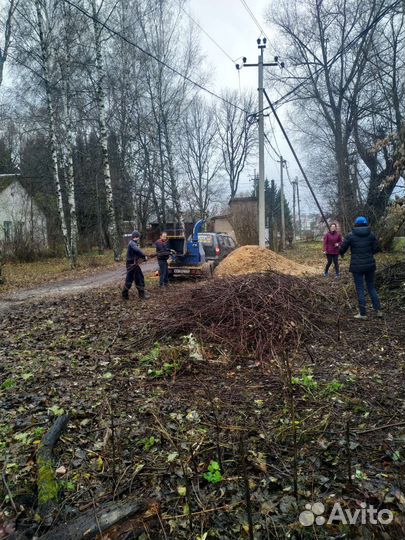 Измельчитель древесины