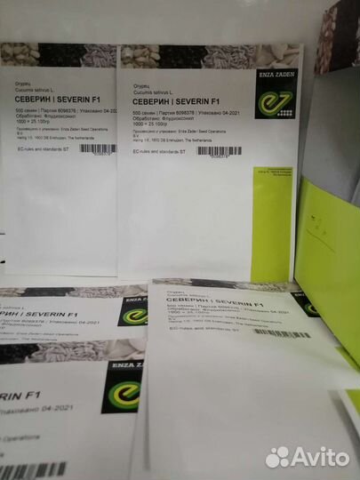Огурец Северин F1