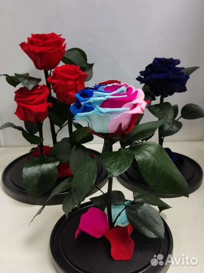 Роза в колбе оптом