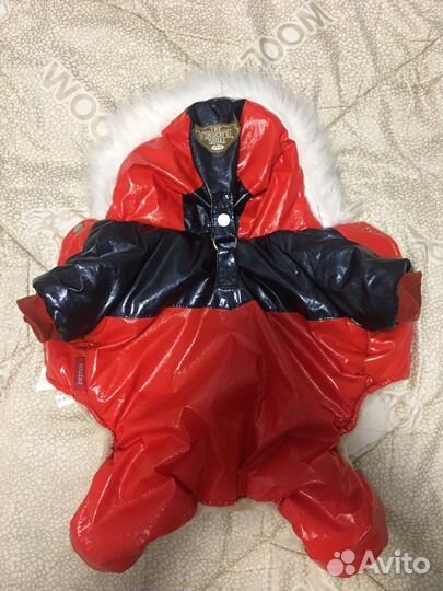 Зимний костюм для собак мелких пород