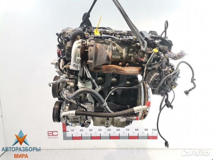 Тнвд Opel Insignia (A) 2009 55597787