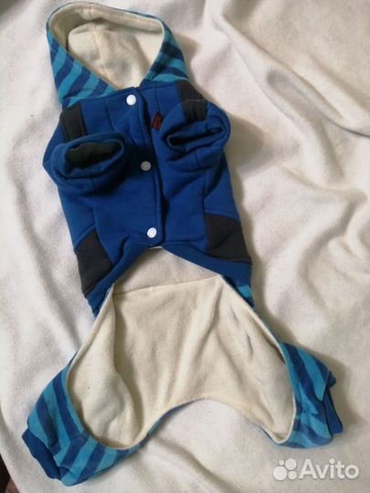 Костюм для собаки