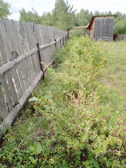 Дача 50 м² на участке 15 сот.