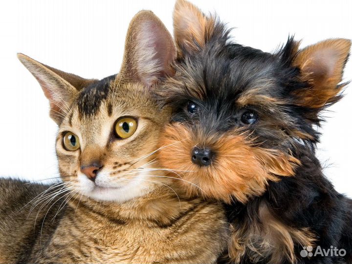 Продавец на выходные дни