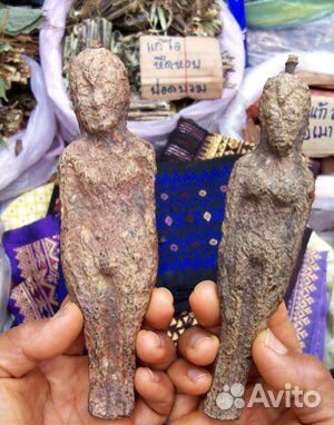 Плоды Нарипол корень талисман