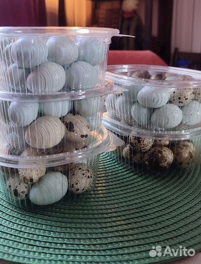 Яйца домашние перепелиные