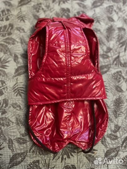 Одежда для собак