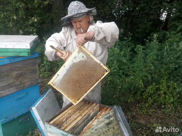 Натуральный мед