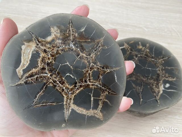 Септария камень минерал коллекция