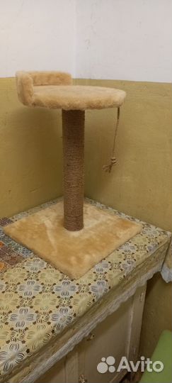 Когтеточка