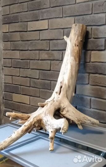 Коряги для аквариума