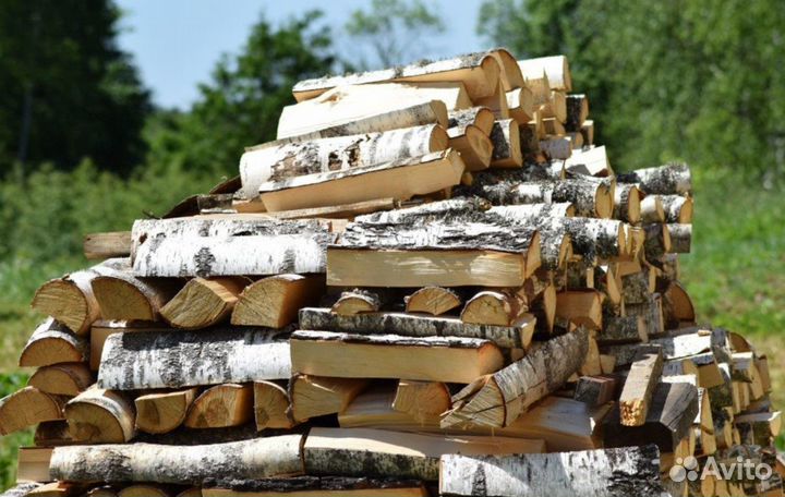 Дрова осина