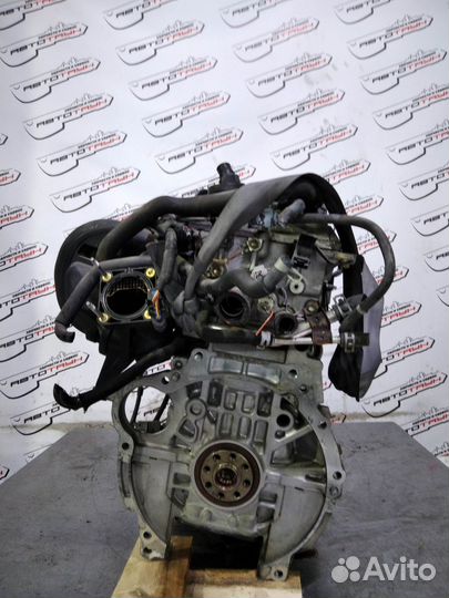 Двигатель toyota pontiac 1ZZ-FE. vista ardeo voltz will VS wish. ZZT251 ZZV50 ZZV50G ZZW30 впуск пла