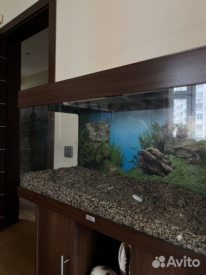 Аквариум с тумбой juwel