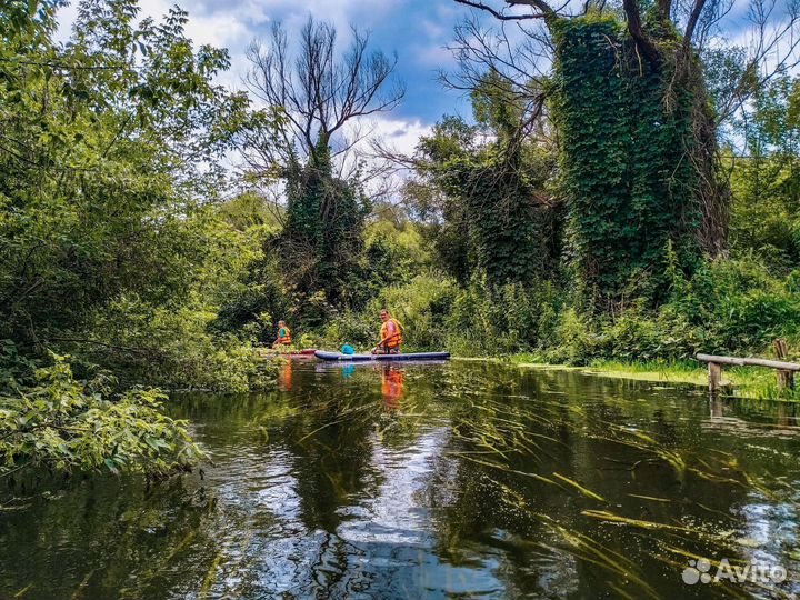 Сапборд аренда, сплавы на сапборде, SUP, sup