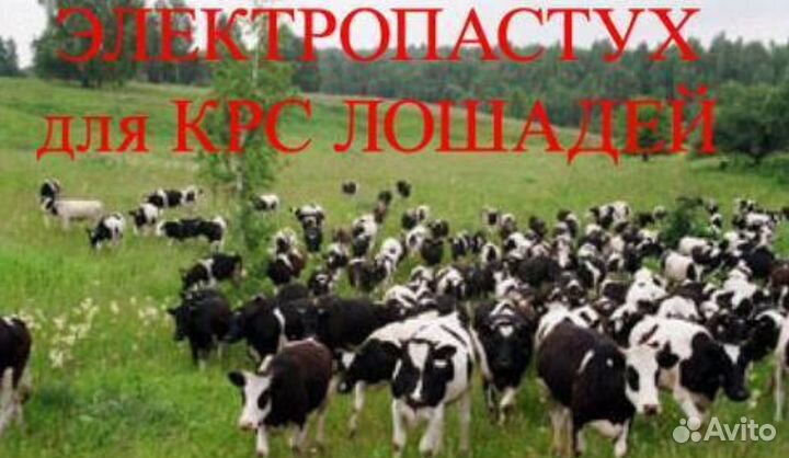 Электропастух