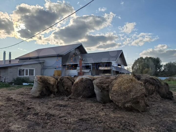 Готовый бизнес