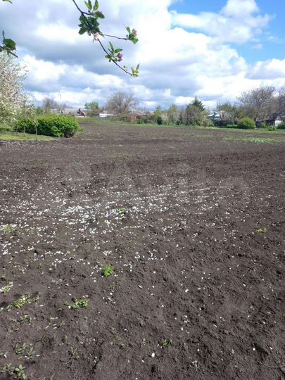 Дом 40 м² на участке 25 сот.