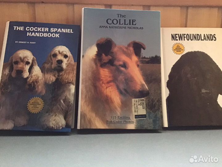 Книги, словари для изучения иностранных языков