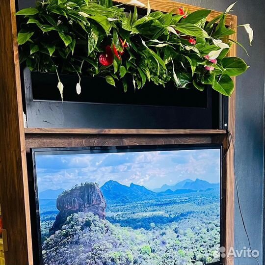 Озеленение интерьера