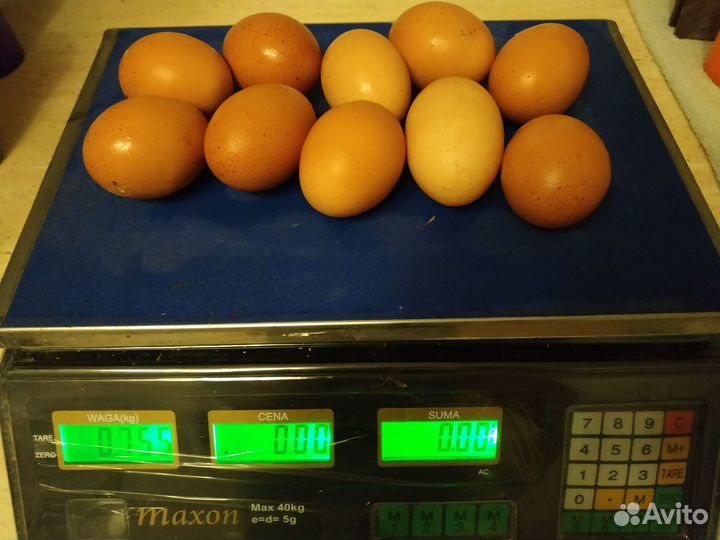 Зерносмесь полнорационная курам несушкам