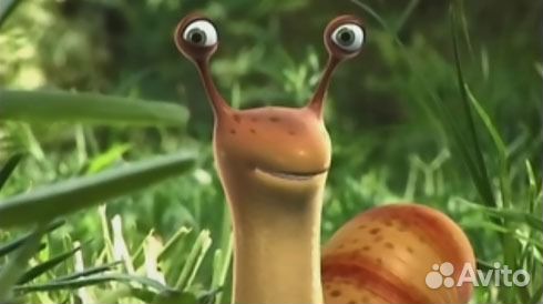 Улитка катушка красная и милания