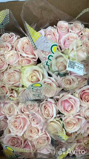 Розы 31/51/101/201 Саранск предзаказ