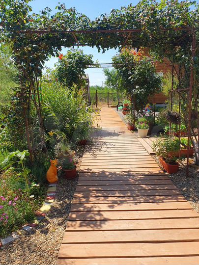 Комната 20 м², 1/2 эт.