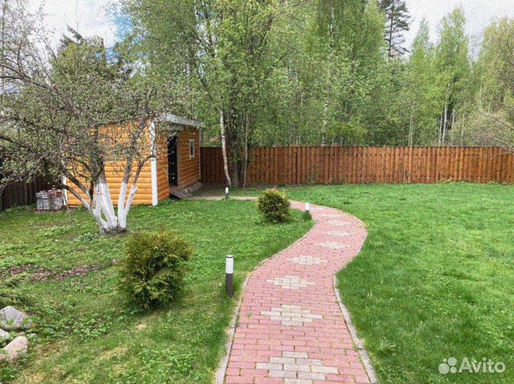 Рулонный газон 