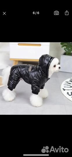 Куртка для собак мелких пород