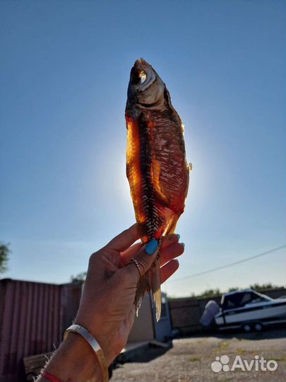 Астраханская вяленая вобла