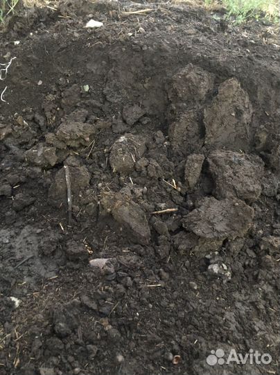 Навоз коровий