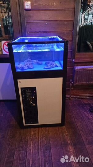 Обслуживание аквариумов с живыми морепродуктами