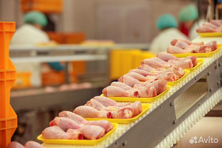 Бригада разнорабочих на пищевое производство